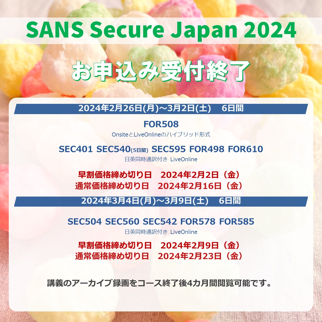 レビュー高評価の商品 SANS 2024 Japan Secure 模型製作用品